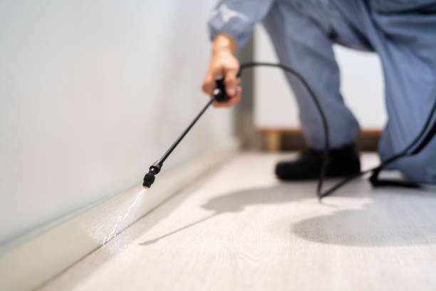 Licensed Fumigation Services service in Groveland, FL - Nex Pest Control