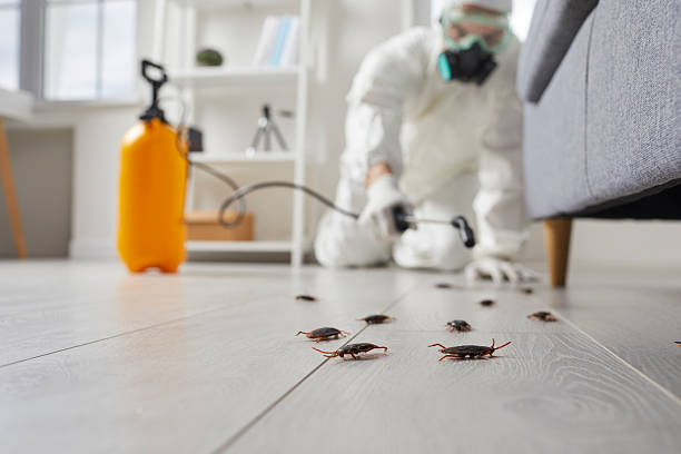 Trusted Termite Control service in Groveland, FL - Nex Pest Control